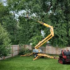 Best Weed Control  in Steelton, PA