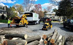 Best Tree Trimming and Pruning  in Steelton, PA