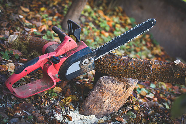 Mulching Services in Steelton, PA